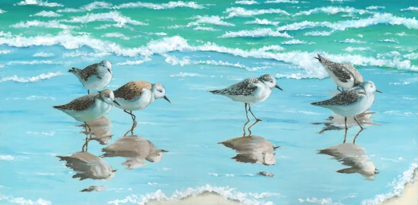 Sandpipers along the shoreline